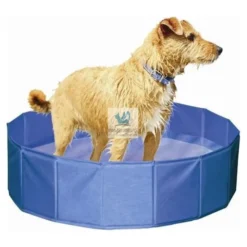 Piscina 120 cm Diametro 30 cm Altura Juegos de Perros