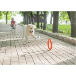PITCHDOG ARO 30 cm Varios Colores Juguete para Perros