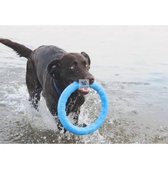 PITCHDOG ARO 30 cm Varios Colores Juguete para Perros