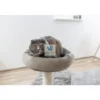 RASCADOR ARBOL GRISELLE GRIS 117 cm Juguetes para gatos