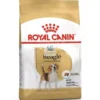 Royal Canin Adult Beagle 12 kg Pienso para Perros