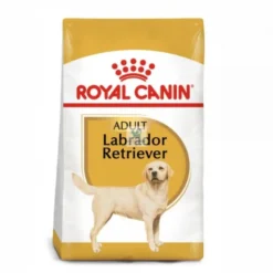 Royal Canin Adult Labrador Retriever 12 kg Pienso para Perros