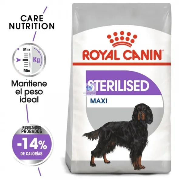 Royal Canin Adult-Maxi Sterilised 12 Kg Pienso para Perros