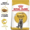 Royal Canin Feline Adult British Shorthair 10 Kg Comida para gatos