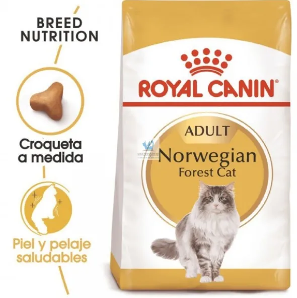 Royal Canin Feline Adult Norwegian Forest 10 Kg Comida para gatos