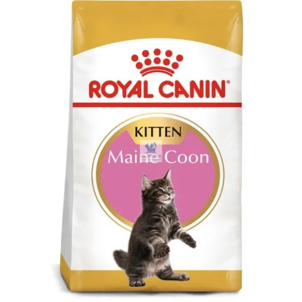 Royal Canin Feline Kitten Maine Coon Comida para Gatos
