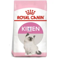 Royal Canin Kitten Comida para Gatos