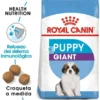 Royal Canin Puppy-Giant 15 Kg pienso para perros
