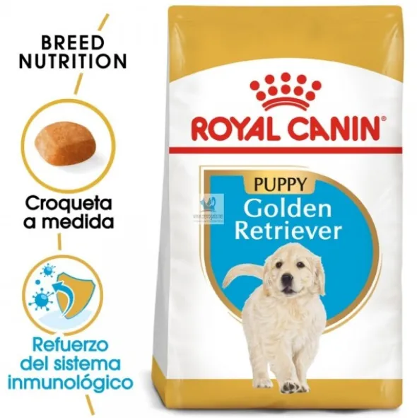 Royal Canin Puppy Golden Retriever 12 Kg Pienso para Perros