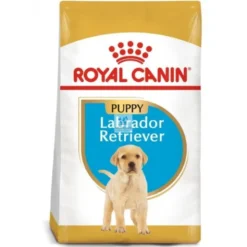 Royal Canin Puppy Labrador Retriever 12 kg Pienso para Perros