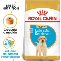 Royal Canin Puppy Labrador Retriever 12 kg Pienso para Perros