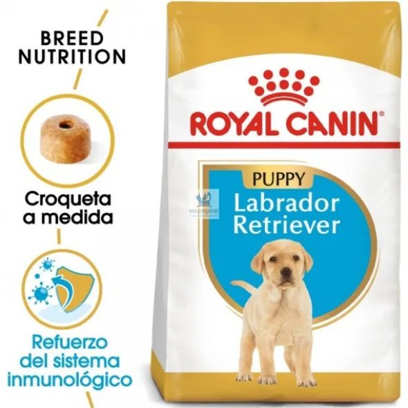Royal Canin Puppy Labrador Retriever 12 kg Pienso para Perros