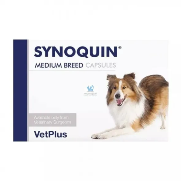 SYNOQUIN RAZAS MEDIANAS Condroprotector para perros