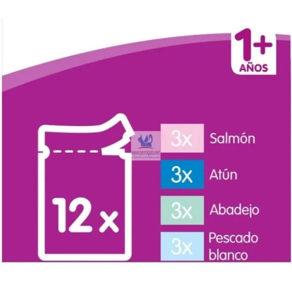 WHISKAS CASSEROLE ADULT 1+ 4 x (12x85 g) Comida para Gatos